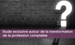 Etude exclusive autour de la transformation  de la profession comptable