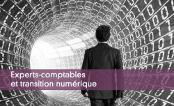 Experts-comptables et transition numrique