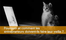 La veille indispensable aux entrepreneurs