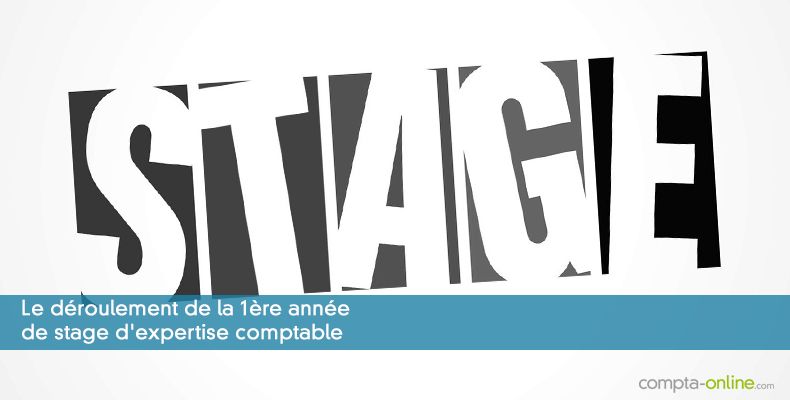 Le déroulement de la première année de stage d'expertise comptable