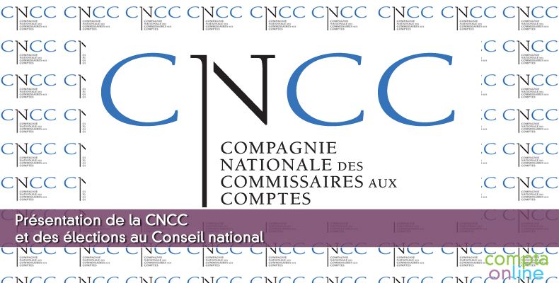 Compagnie nationale des commissaires aux comptes