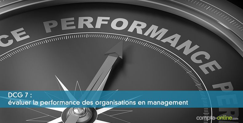 DCG 7 : valuer la performance des organisations en management