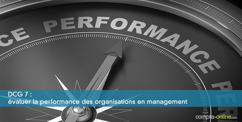 DCG 7 : évaluer la performance des organisations en management