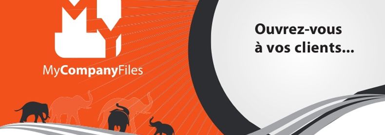 MyCompanyFiles