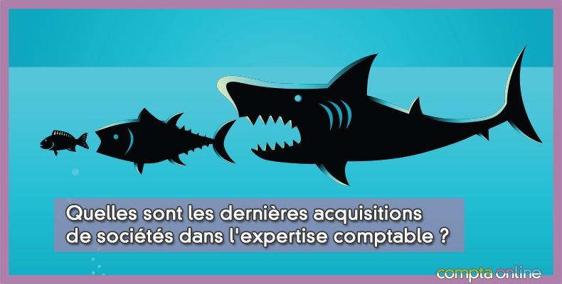Quelles sont les dernières acquisitions de sociétés dans l'expertise comptable ?