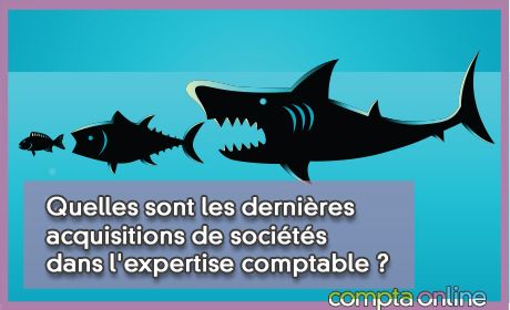 Quelles sont les dernires acquisitions de socits dans l'expertise comptable ?