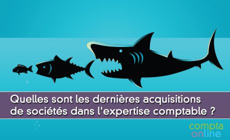 Quelles sont les dernires acquisitions de socits dans l'expertise comptable ?