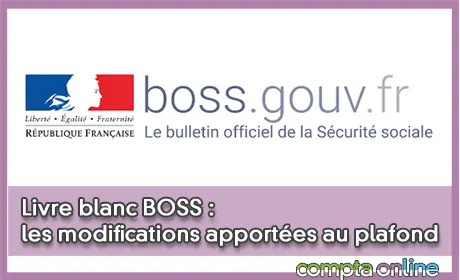 Livre blanc BOSS : les modifications apportées au plafond