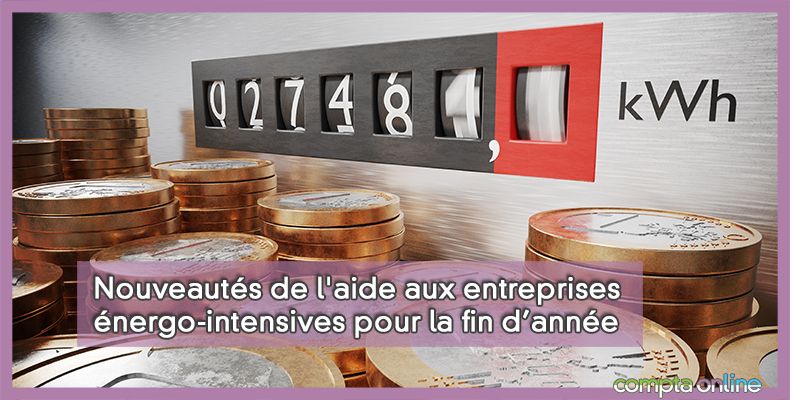 Aide aux entreprises énergo-intensives
