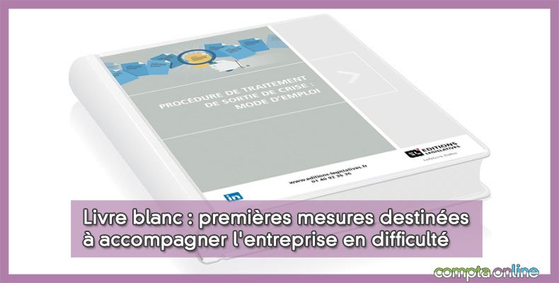Livre blanc : premières mesures destinées à accompagner l'entreprise en difficulté