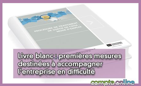Livre blanc : premires mesures destines accompagner l'entreprise en difficult