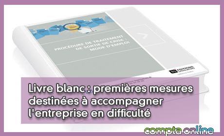 Livre blanc : premires mesures destines  accompagner l'entreprise en difficult