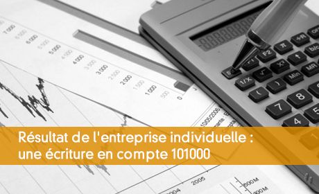 Compte 101 entreprise individuelle