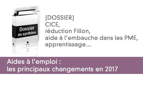 Aides à l'emploi 2017