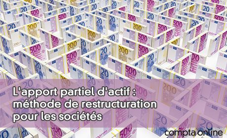 L'apport partiel d'actif : mthode de restructuration pour les socits