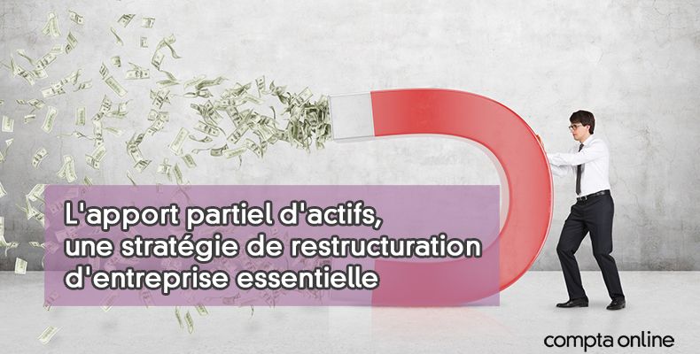 L'apport partiel d'actifs
