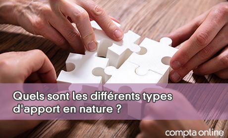 Quels sont les diffrents types d'apport en nature ?