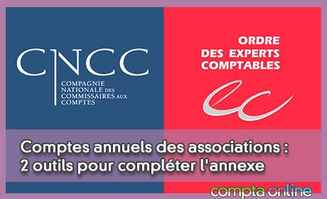 Comptes annuels des associations : 2 outils pour complter l'annexe