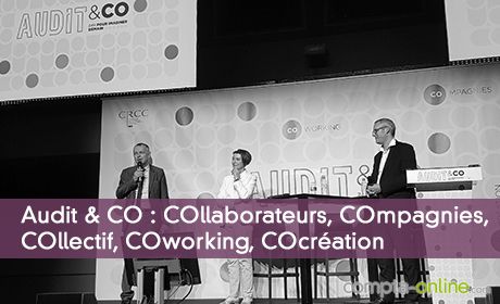 Audit & CO : COllaborateurs, COmpagnies, COllectif, COworking, COcréation