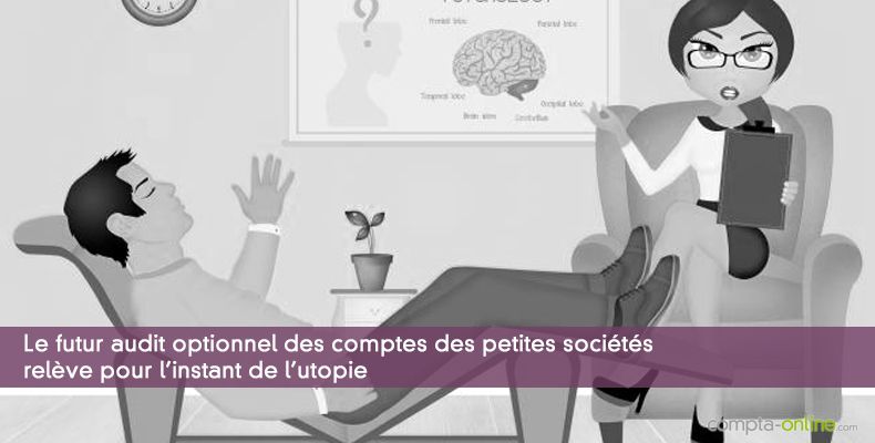 Le futur audit optionnel des comptes des petites sociétés relève pour l'instant de l'utopie