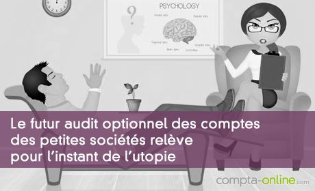 Le futur audit optionnel des comptes des petites sociétés relève pour l'instant de l'utopie