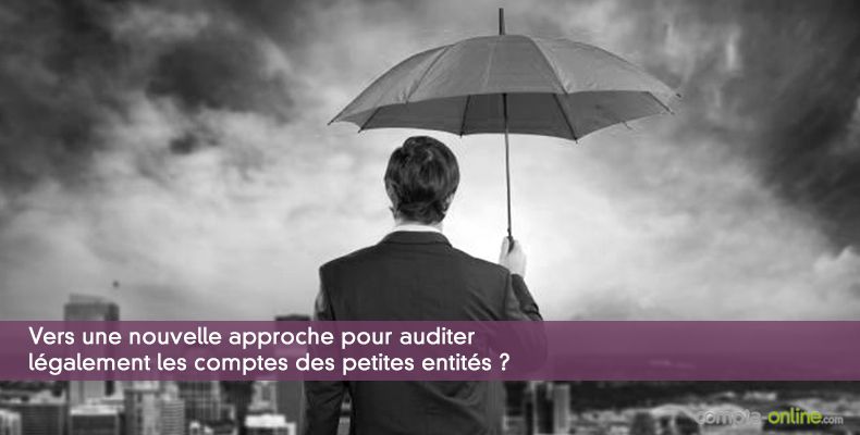 Vers une nouvelle approche pour auditer lgalement les comptes des petites entits ?