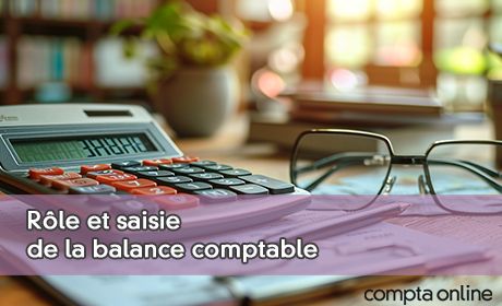 Rle et saisie de la balance comptable