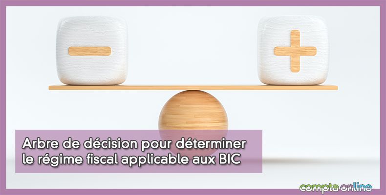 Régime micro-bic