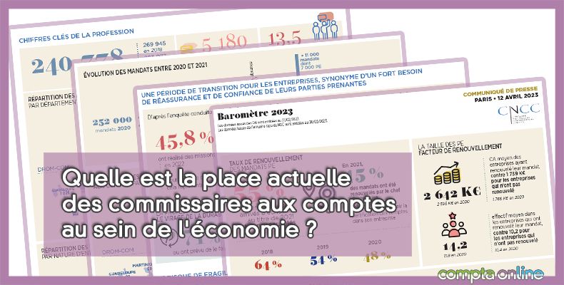 Commissaires aux comptes