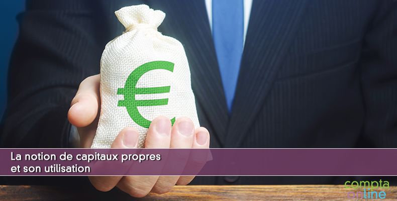 Capitaux propres