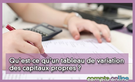 Qu'est-ce qu'un tableau de variation des capitaux propres ?