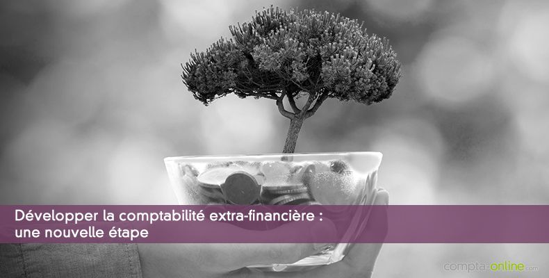 Développer la comptabilité extra-financière : une nouvelle étape