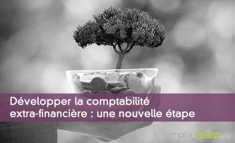 Développer la comptabilité extra-financière : une nouvelle étape
