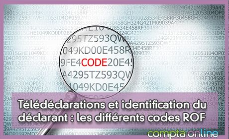 Tldclarations et identification du dclarant : les diffrents codes ROF