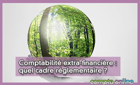 Comptabilit extra-financire : quel cadre rglementaire ?