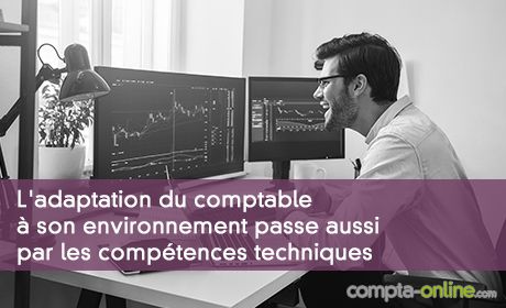 L'adaptation du comptable à son environnement passe aussi par les compétences techniques