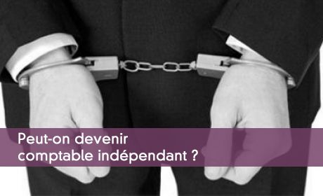 Bureau Parisien D Expertise Et De Revision Comptable : Exercice illégal de la profession d expert comptable