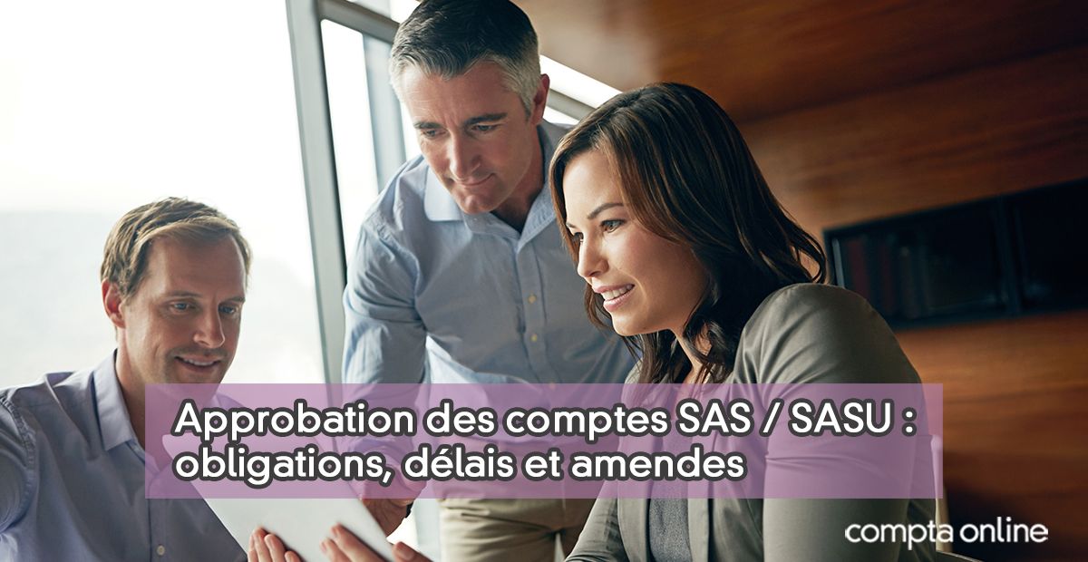 Des Sas Approbation des comptes en SAS et SASU : délais et formalités