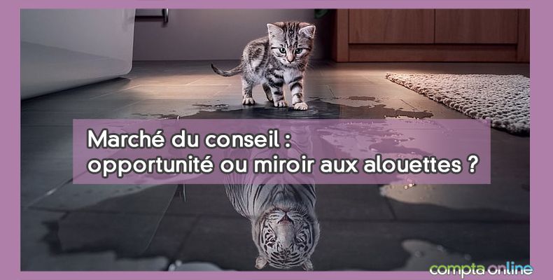Marché du conseil : opportunité ou miroir aux alouettes ?