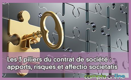 Les 3 piliers du contrat de socit : apports, risques et affectio societatis