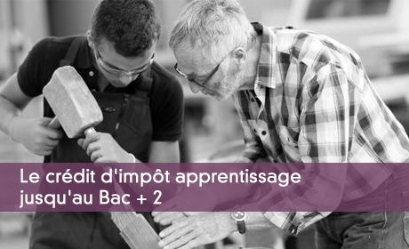 Le crédit d'impôt apprentissage jusqu'au Bac + 2