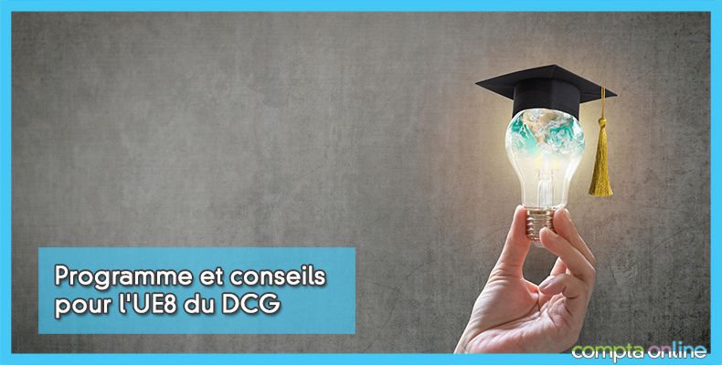 DCG Systèmes d'information de gestion