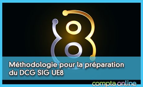 Mthodologie pour la prparation du DCG Systme d'information de gestion