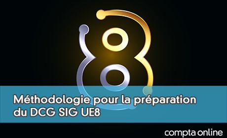 Mthodologie pour la prparation du DCG Systme d'information de gestion