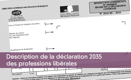Description de la déclaration 2035 des professions libérales