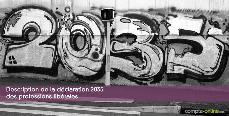 Description de la déclaration 2035 des professions libérales