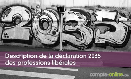Description de la déclaration 2035 des professions libérales
