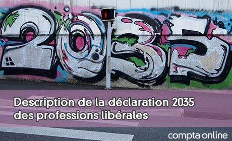 Description de la dclaration 2035 des professions librales