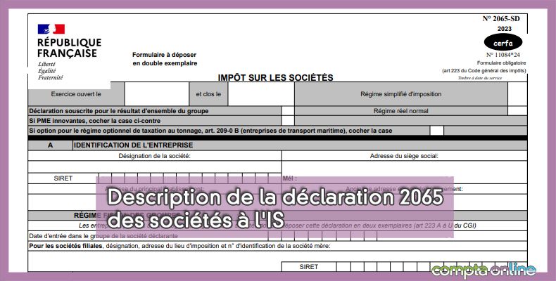 Description de la déclaration 2065 des sociétés à l'IS