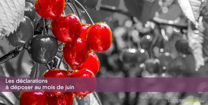 Les déclarations à déposer au mois de juin